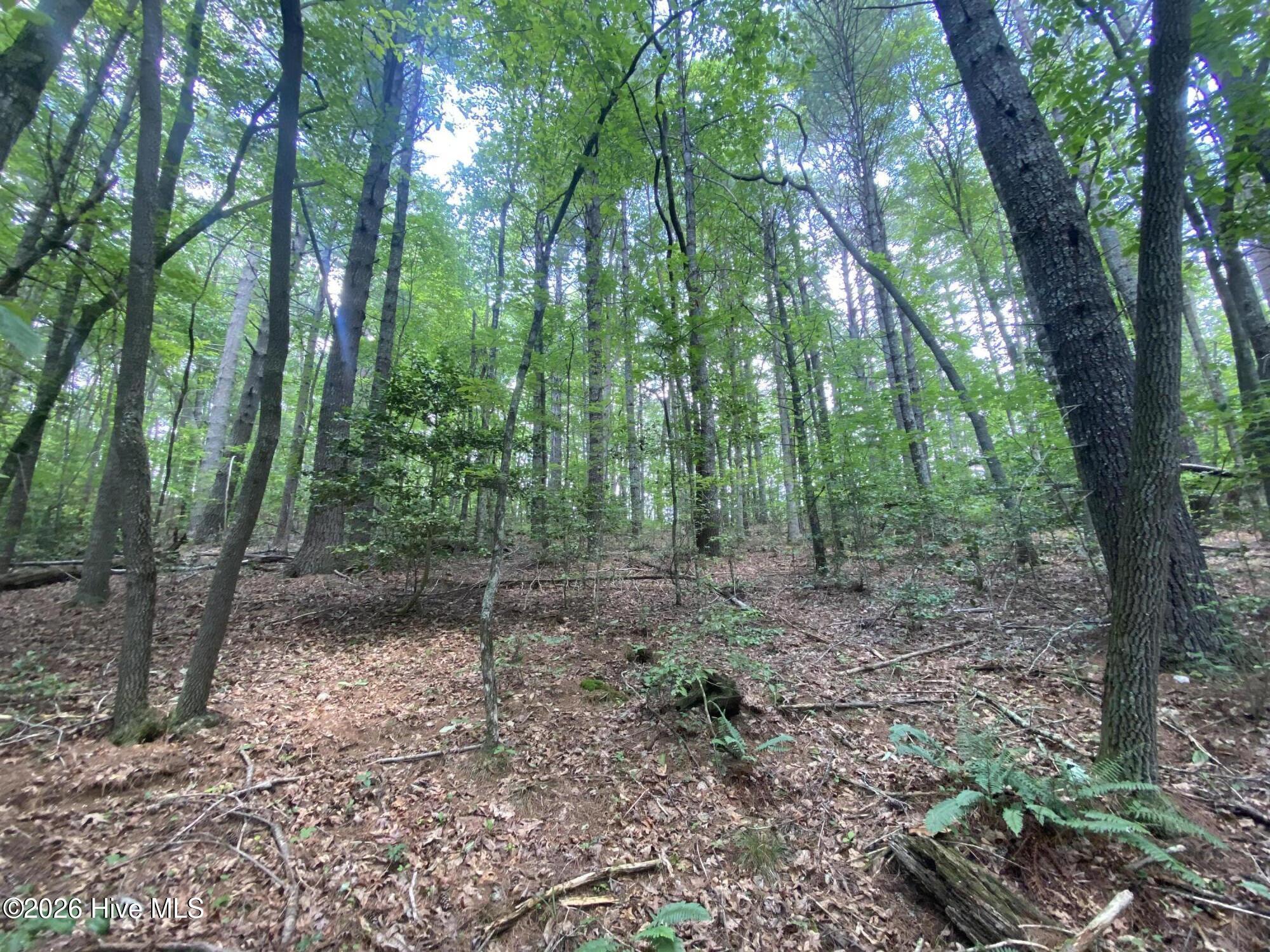 2340 Candy Mountain Road Murphy, NC 28906 - Photo 3 of 8
