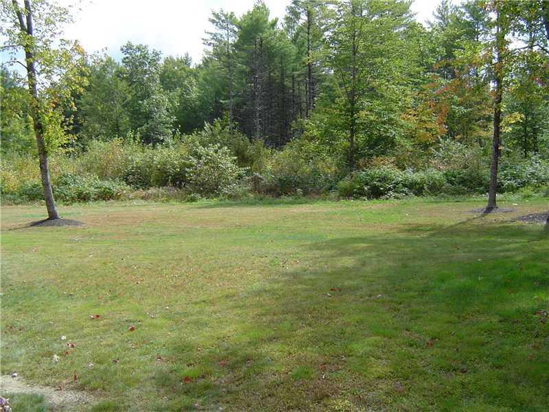197 Hanscomb School Road Limington, ME 04049 - Photo 9 of 21 Yard/Garden.