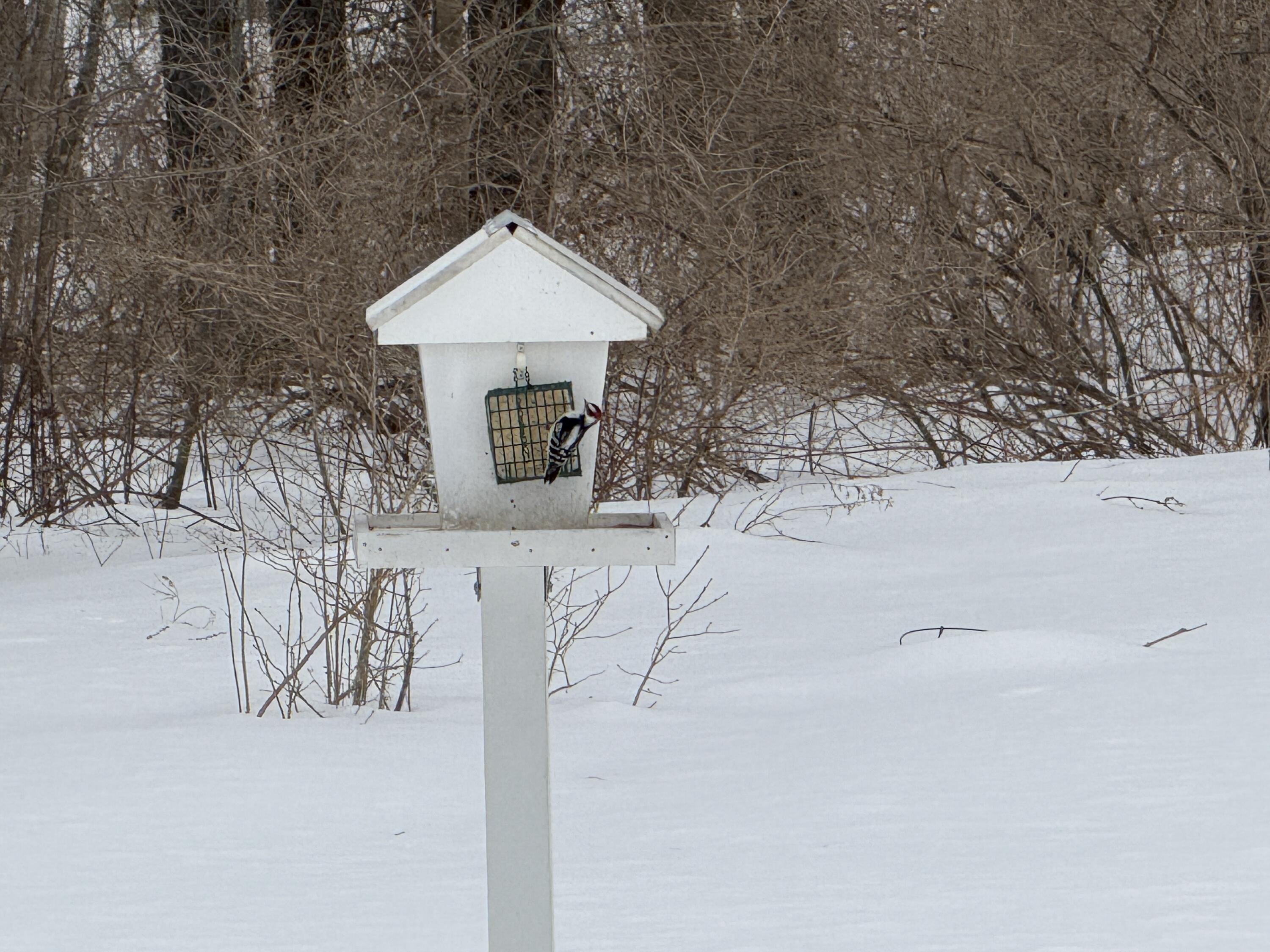 730 East Waldo Road Belfast, ME 04915 - Photo 47 of 57 3027F6AA-7A21-4305-8F59-A38F23A4CD33