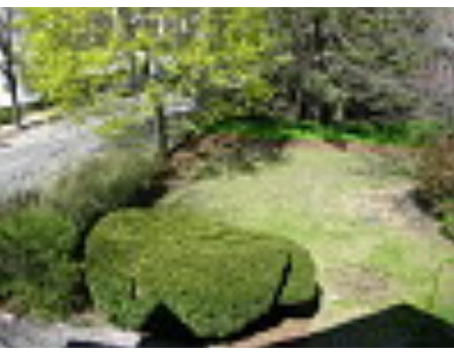 125 Middlesex Road Brookline, MA 02467 - Photo 8 of 8 a view of yard