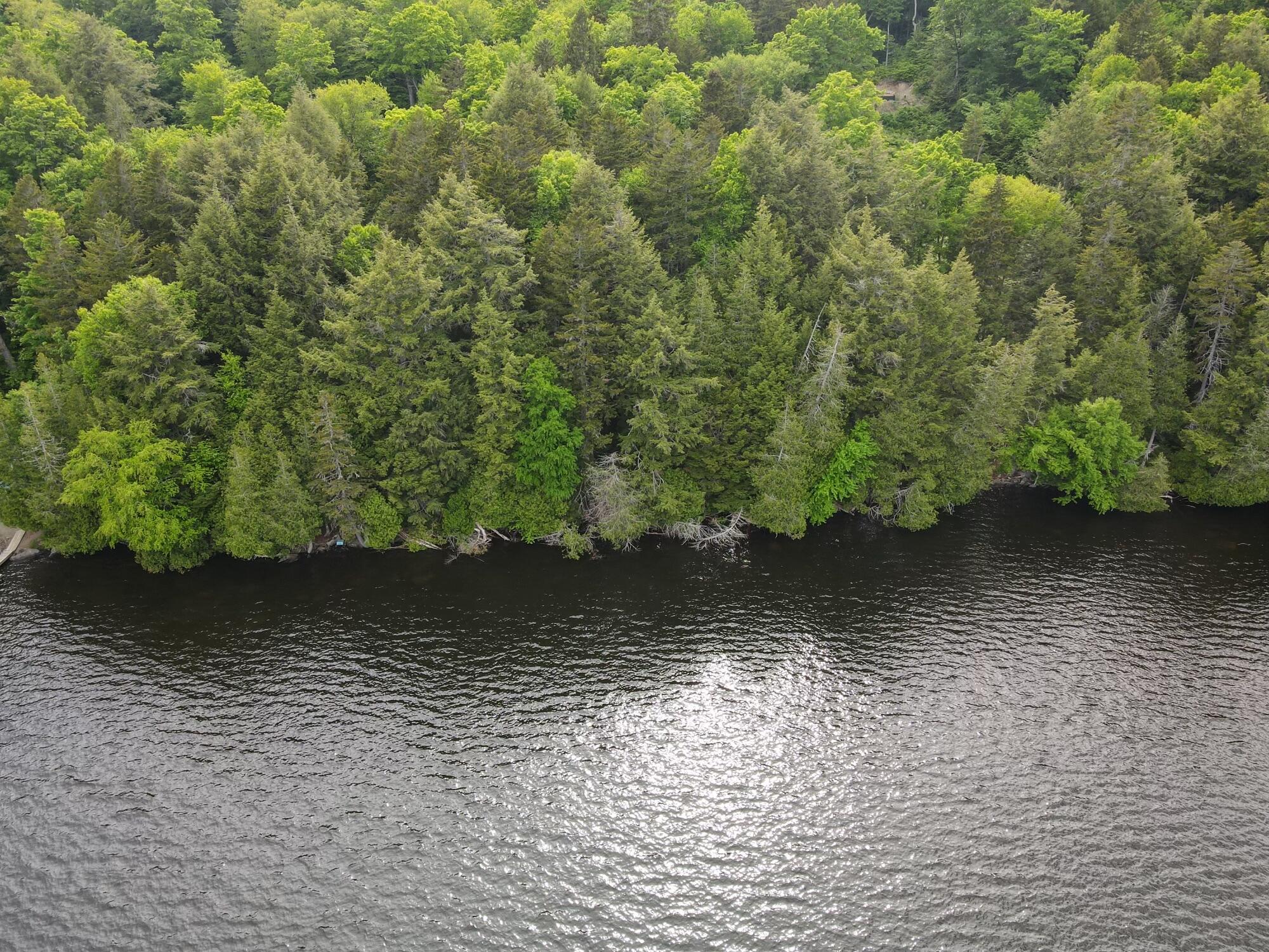 Lot 15-a-1 Scammon Road Greenville, ME 04441 - Photo 29 of 30 dji_fly_20240605_162508_112_171761918423