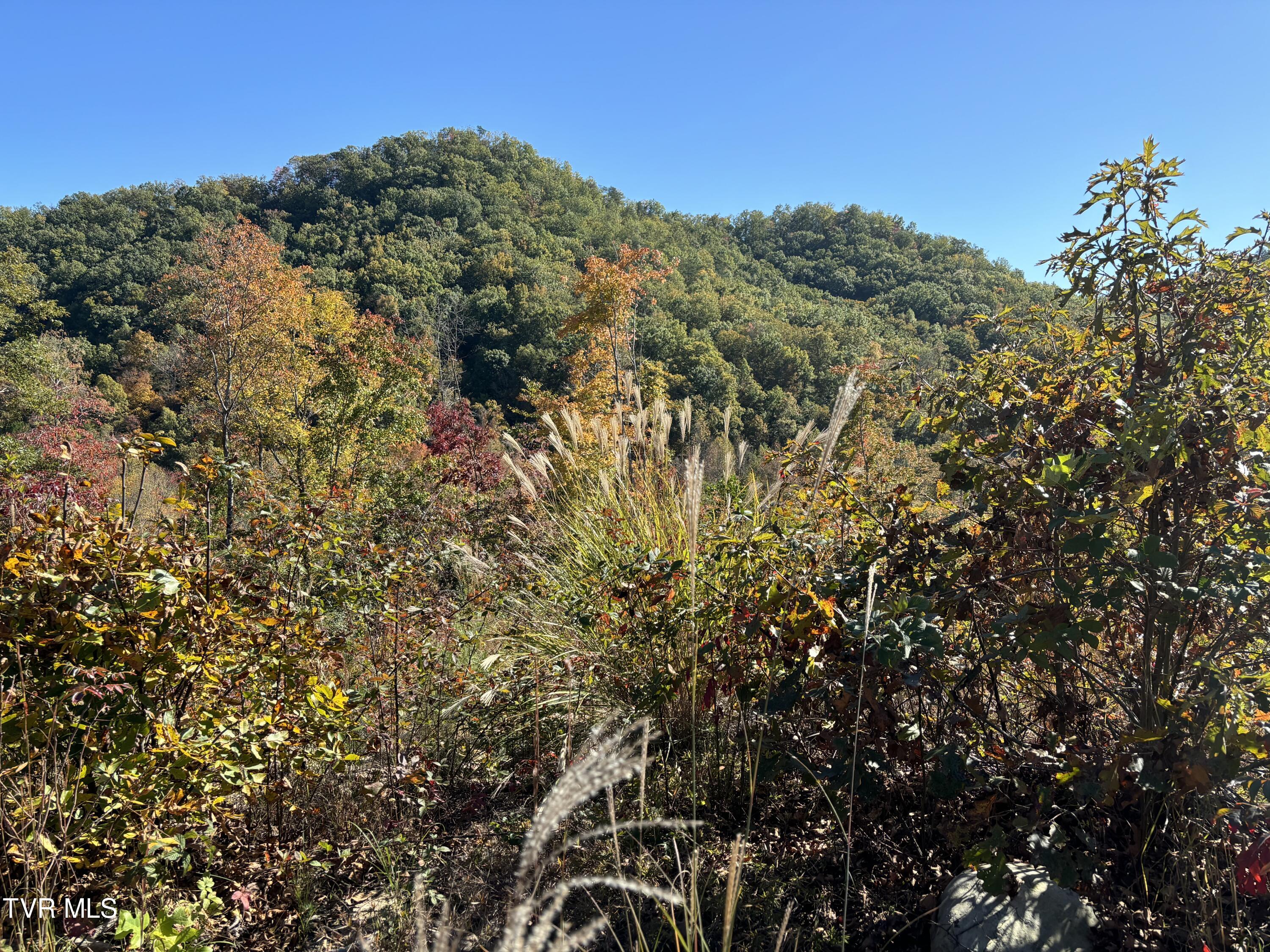 0 Yuma Road, Unit 13 Gate City, VA 24251 - Photo 6 of 7 lop of mountain and site for a house
