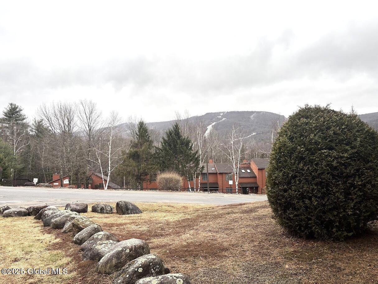 13 Freebern Road, Unit E Johnsburg, NY 12853 - Photo 34 of 34 IMG_8290