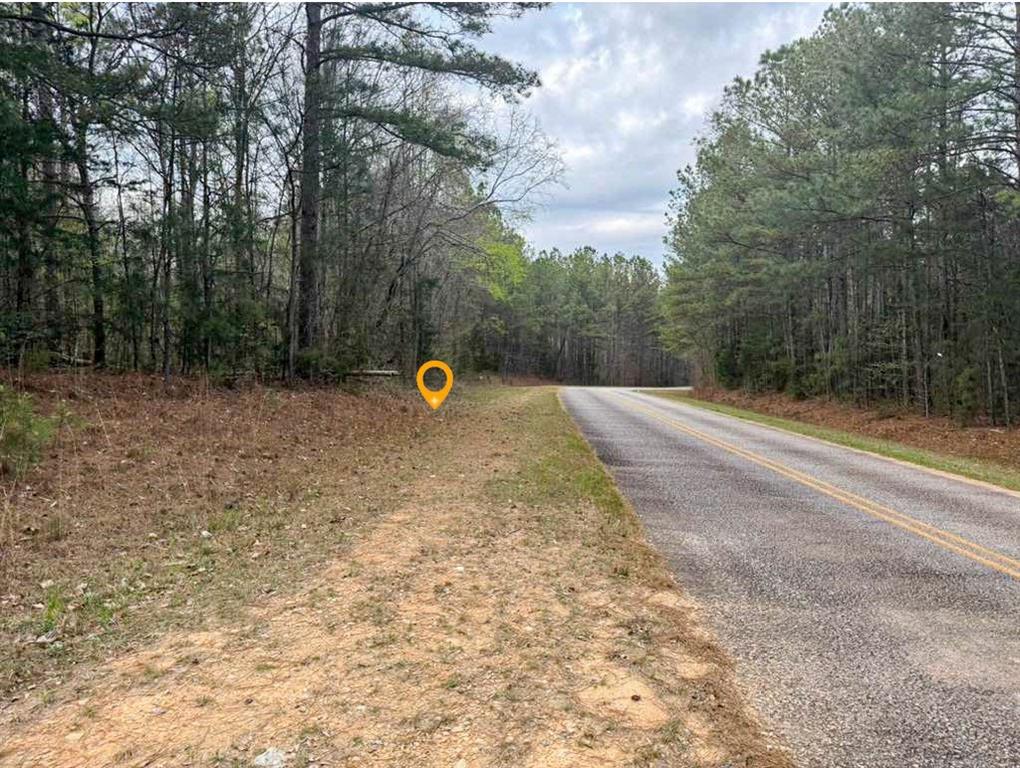0 Shallow Creek Road Elberton, GA 30635 - Photo 2 of 3 a view of a park with large trees