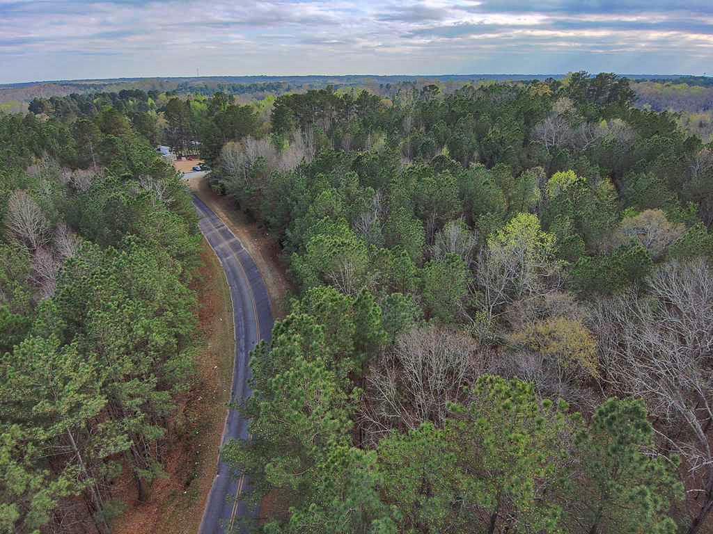 0 Shallow Creek Road Elberton, GA 30635 - Photo 3 of 3 a view of a forest with a street view
