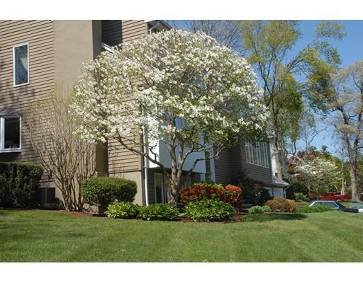 15 Robbin Road Canton, MA 02021 - Photo 3 of 30