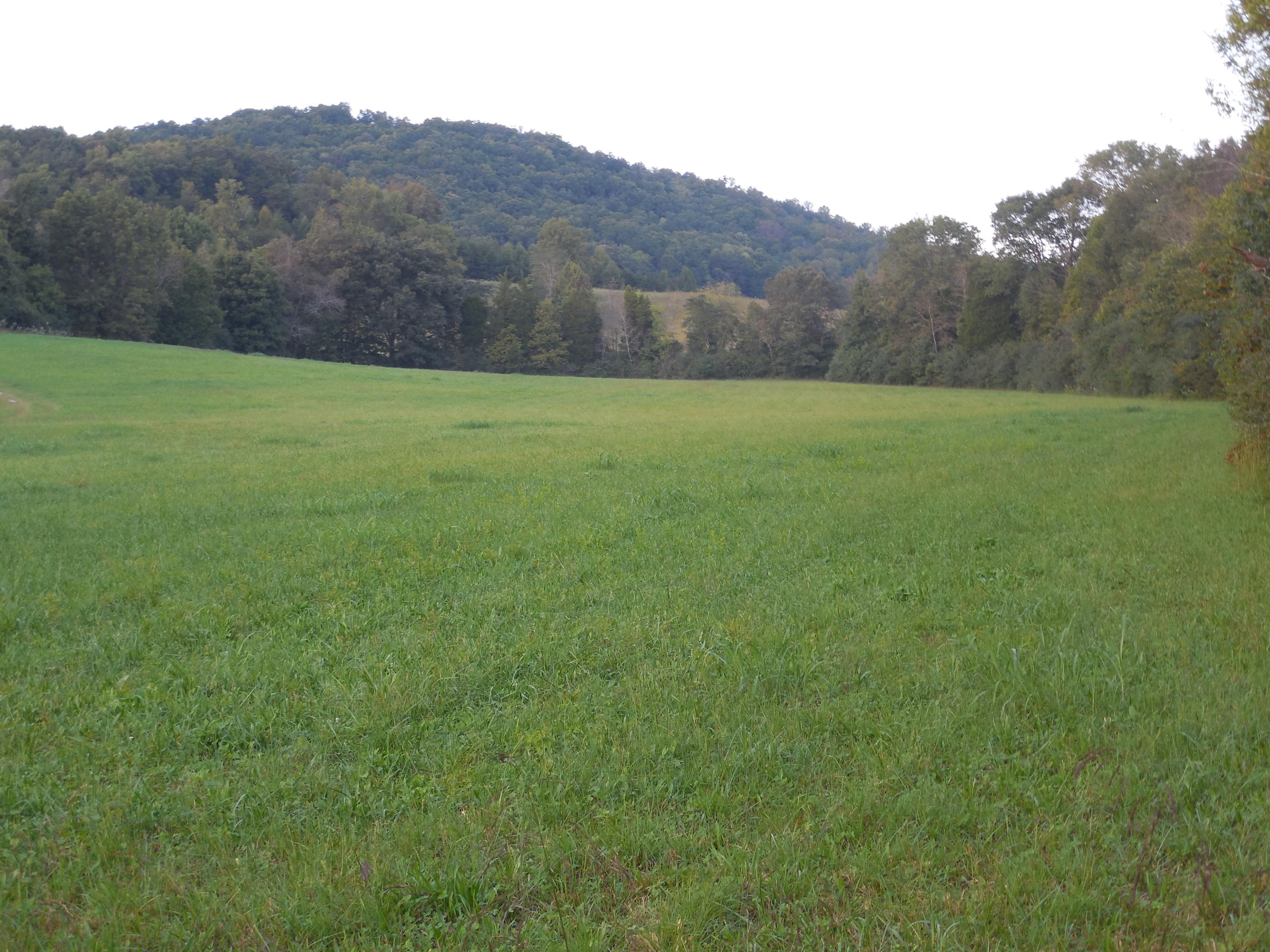 124 Lost Ridge Road Clinton, TN 37716 - Photo 2 of 10 037