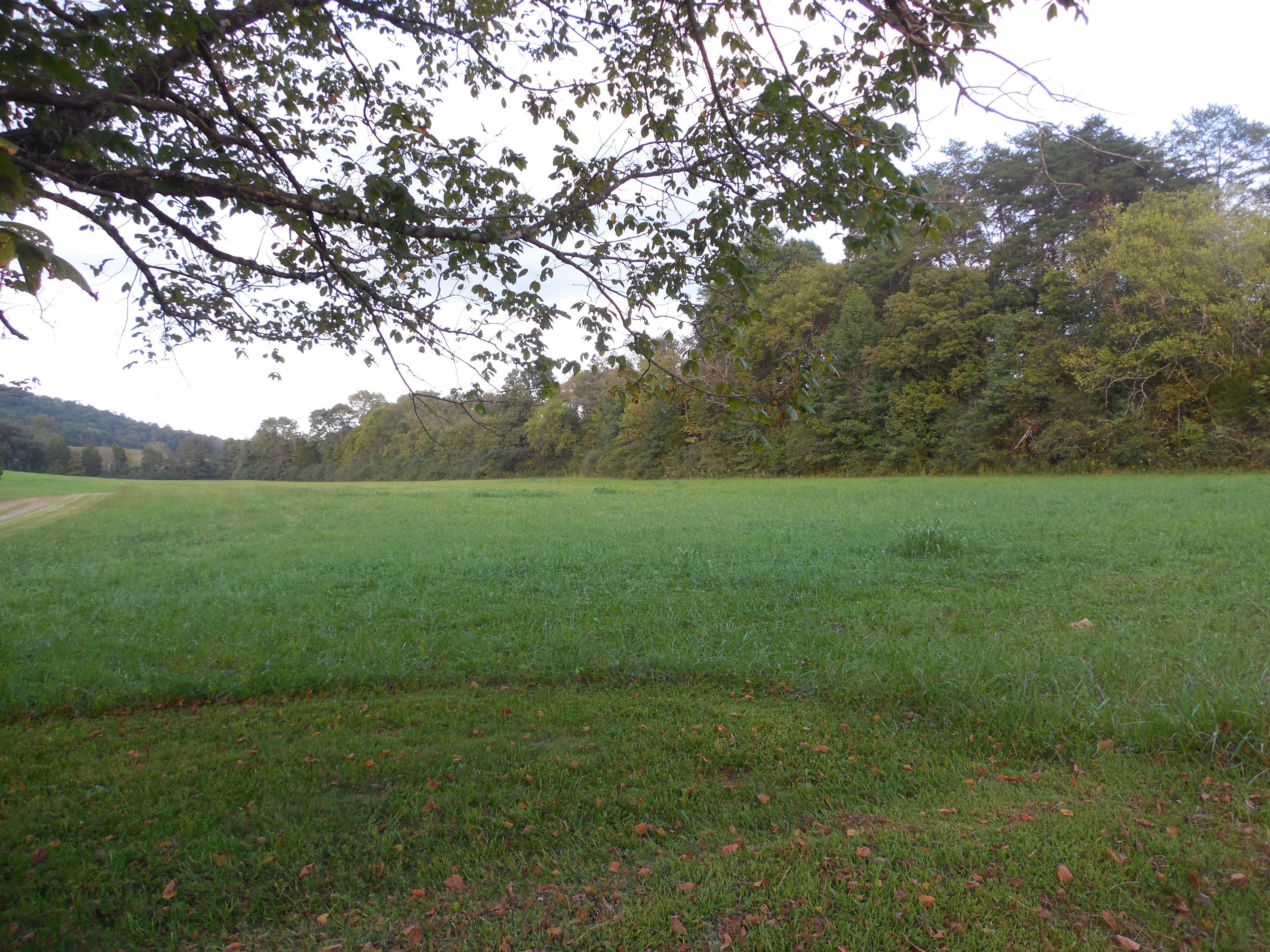 124 Lost Ridge Road Clinton, TN 37716 - Photo 3 of 10 039