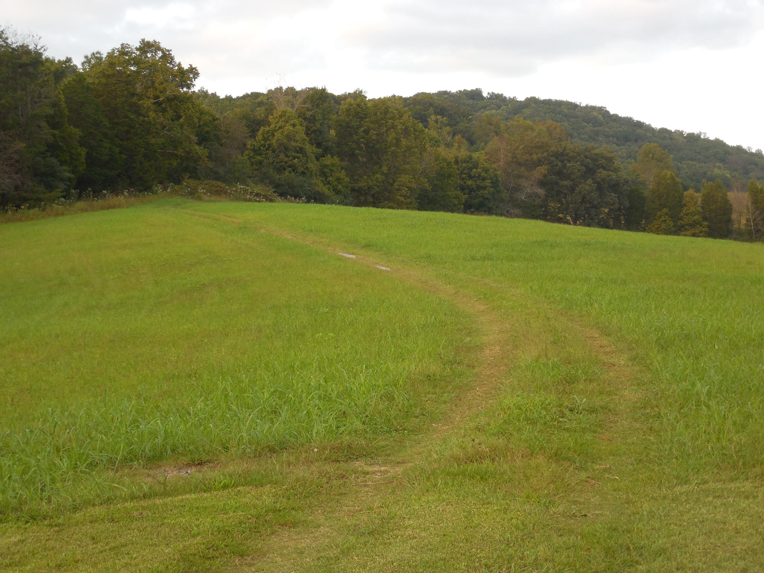 124 Lost Ridge Road Clinton, TN 37716 - Photo 4 of 10 041