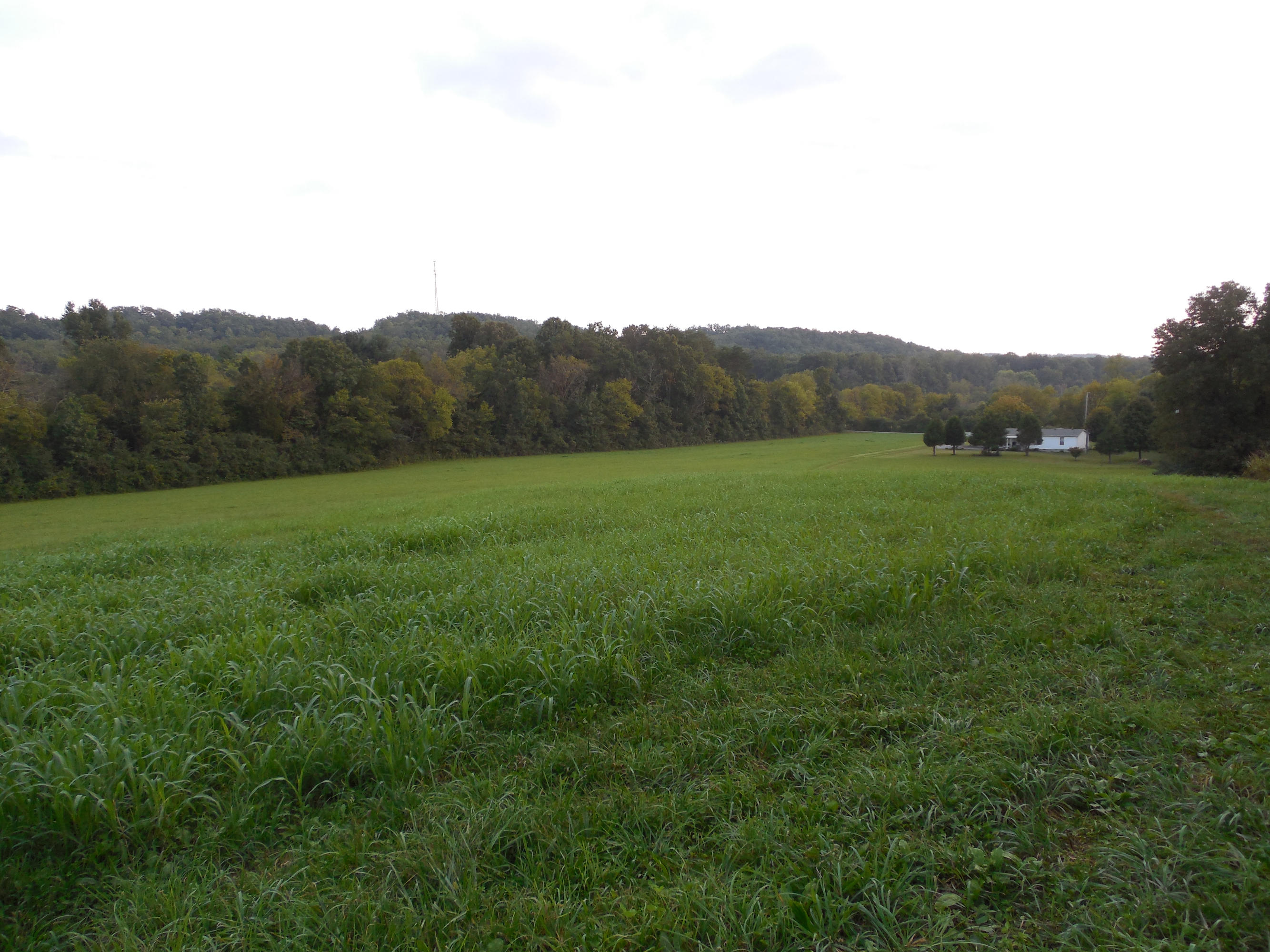 124 Lost Ridge Road Clinton, TN 37716 - Photo 6 of 10 044