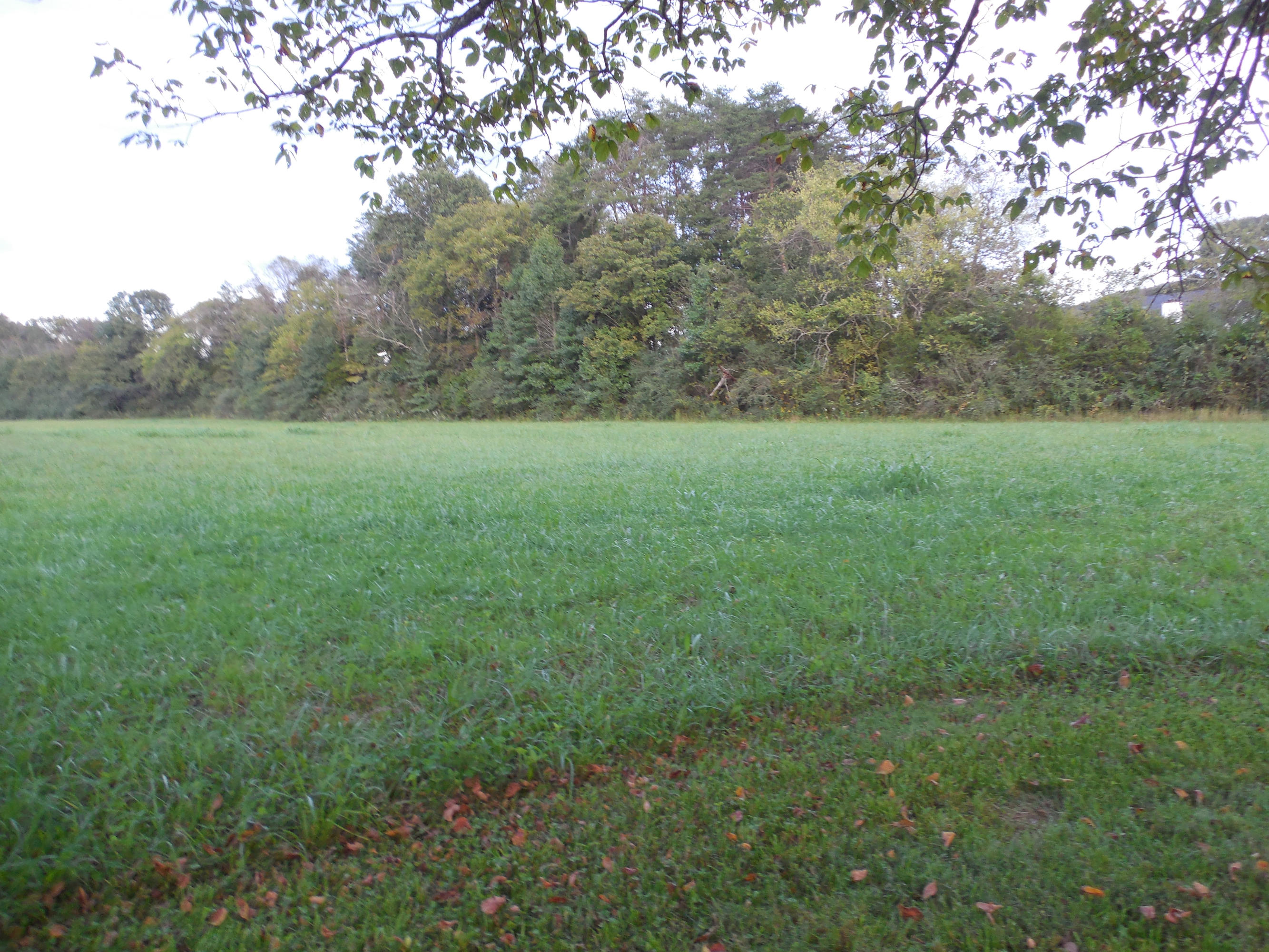 124 Lost Ridge Road Clinton, TN 37716 - Photo 9 of 10 047