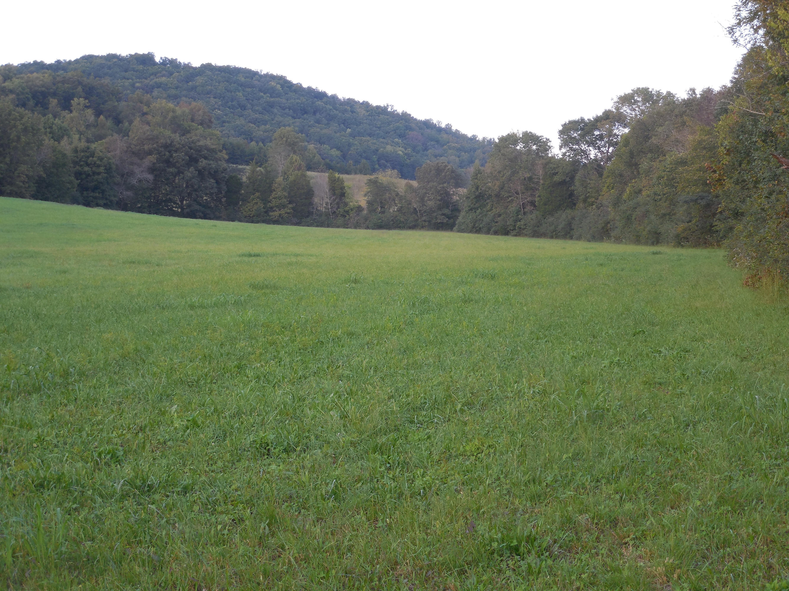 124 Lost Ridge Road Clinton, TN 37716 - Photo 10 of 10 034