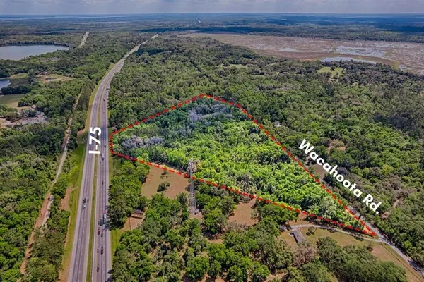 a view of a garden with an outdoor space