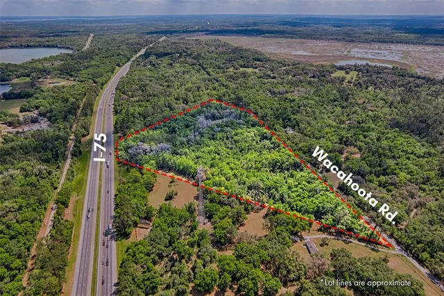 an aerial view of a forest with a yard and mountain in the back