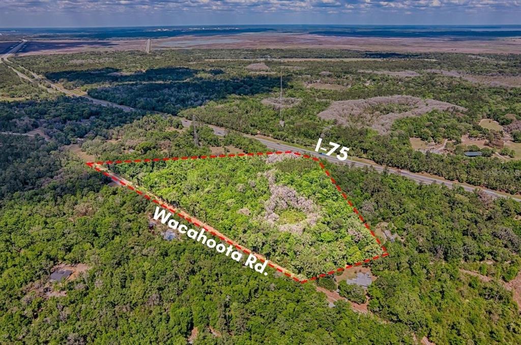 110 Southeast Wacahoota Road Micanopy, FL 32667 - Photo 3 of 11