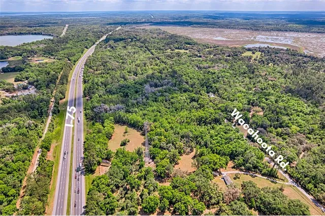 an aerial view of a forest with houses