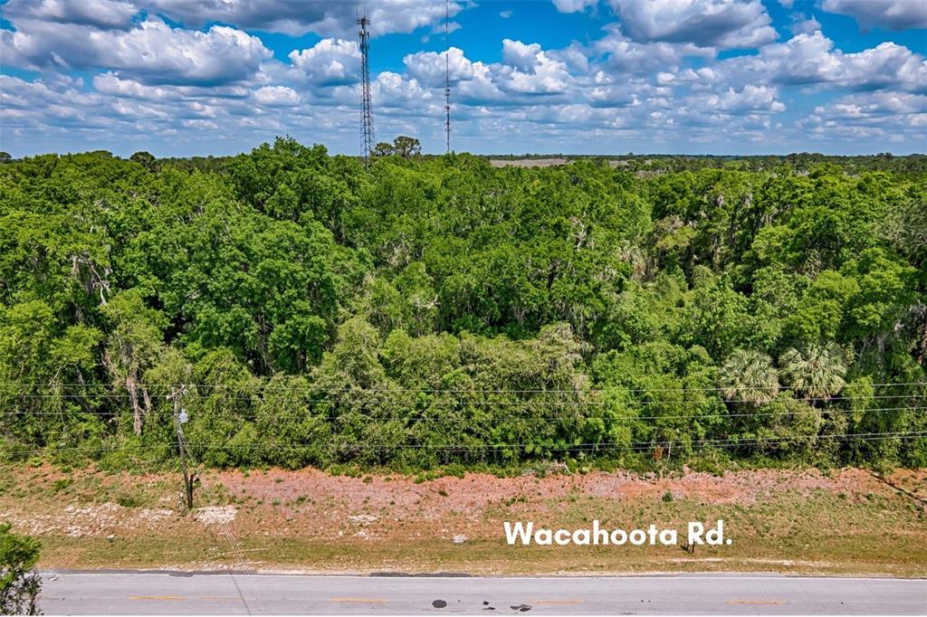 110 Southeast Wacahoota Road Micanopy, FL 32667 - Photo 9 of 11