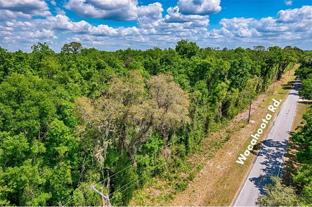 a view of a garden with a pathway