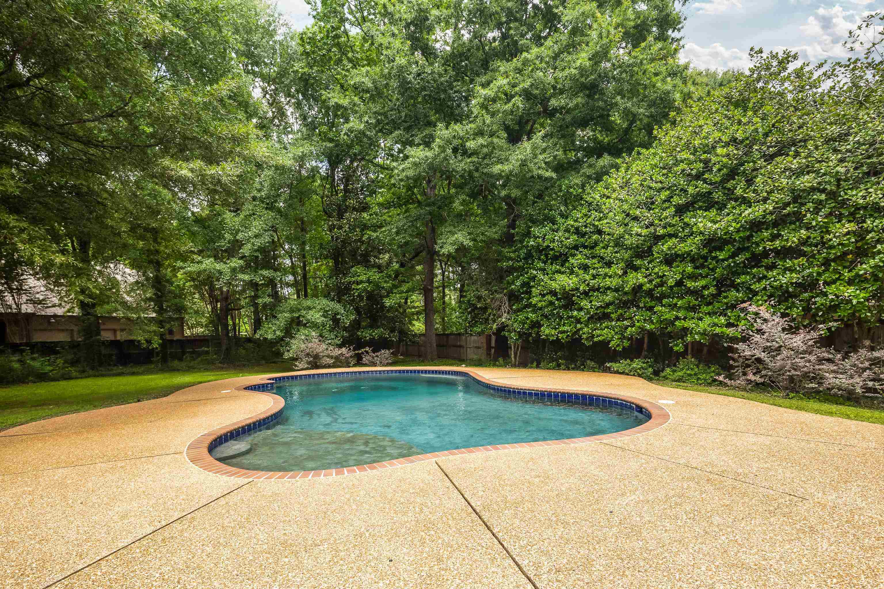 350 Bluff Ridge Cove Memphis, TN 38018 - Photo 33 of 37 Freeform swimming pool with a textured aggregate deck and surrounding mature trees and hedges