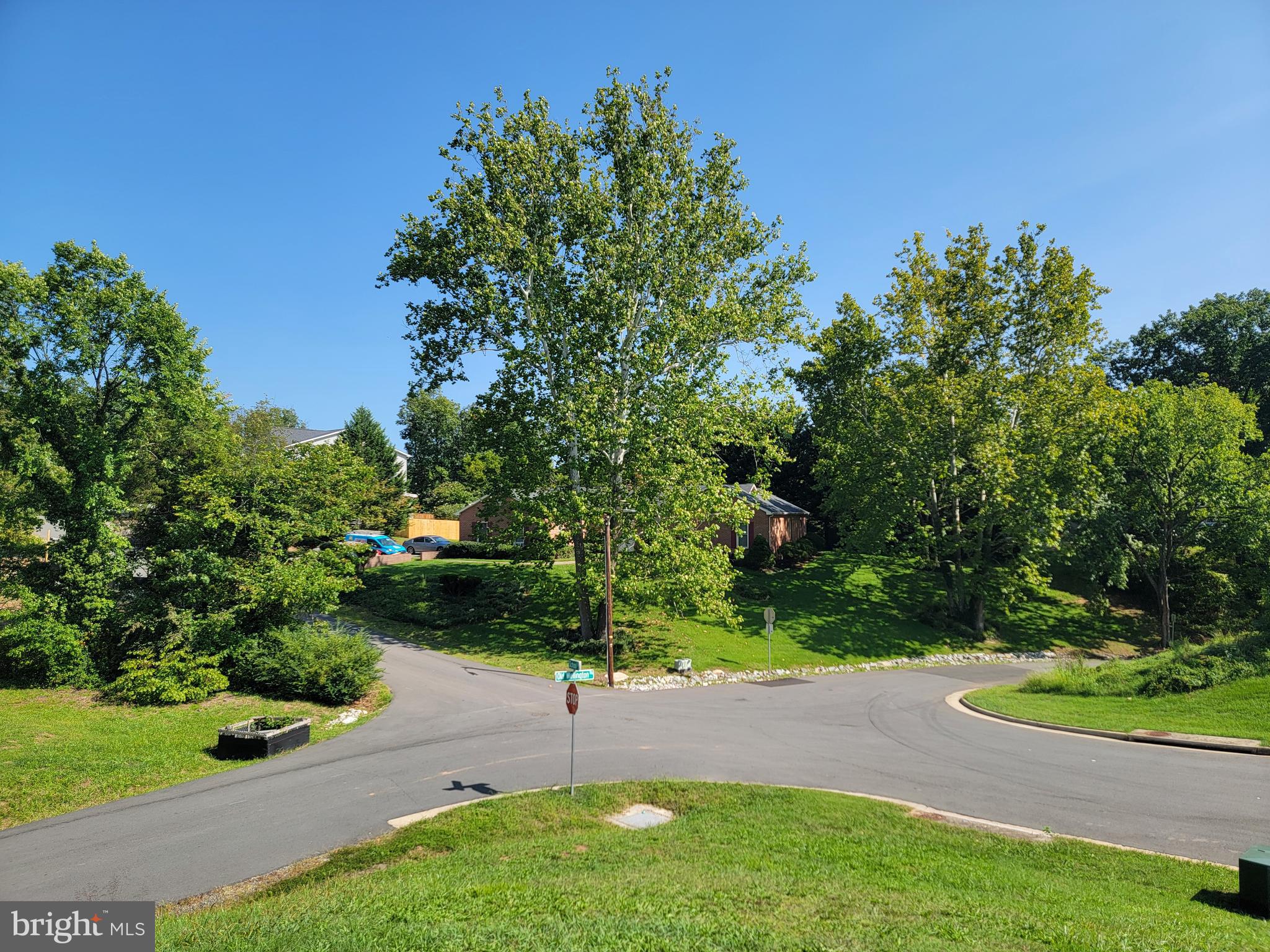 9657 Old Wellington Road Manassas, VA 20110 - Photo 6 of 8 a view of a park with a tree in the background