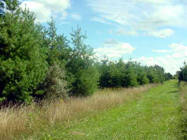 Parcel C Tbd Parcel C Tbd Suerwier Road Applegate, MI 48401 - Photo 2 of 3 31070272-1.JPG