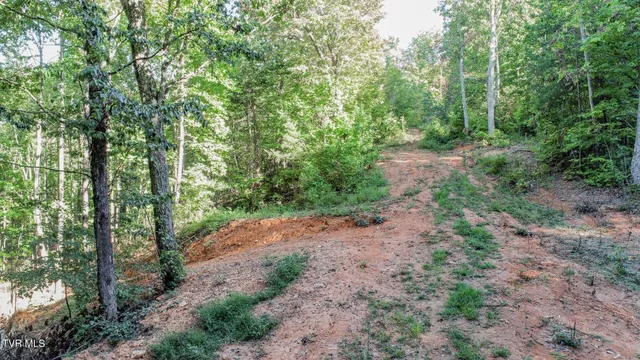 $48,000 | 151 Delicious Way, Unit 37, Newport, TN 37821