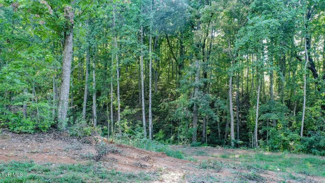 $48,000 | 151 Delicious Way, Unit 37, Newport, TN 37821