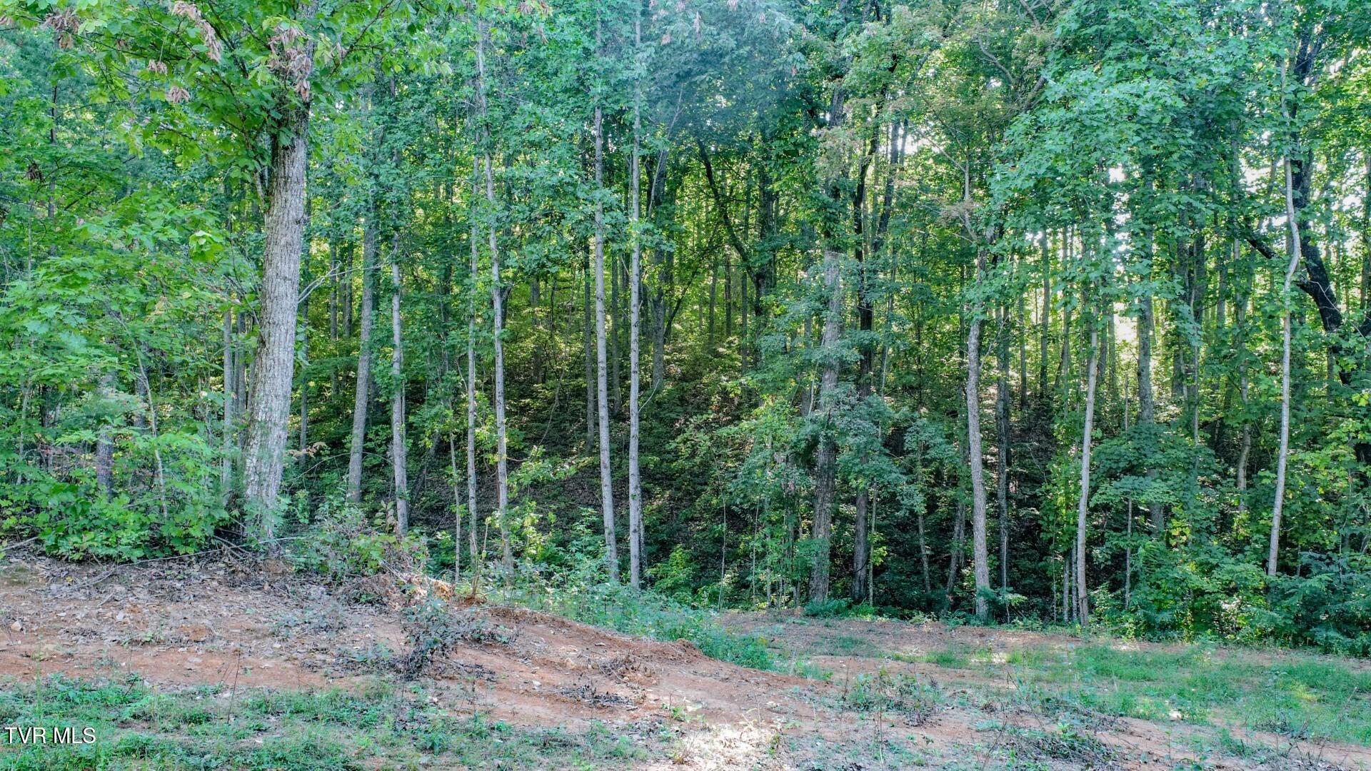 151 Delicious Way, Unit 37 Newport, TN 37821 - Photo 12 of 14 11