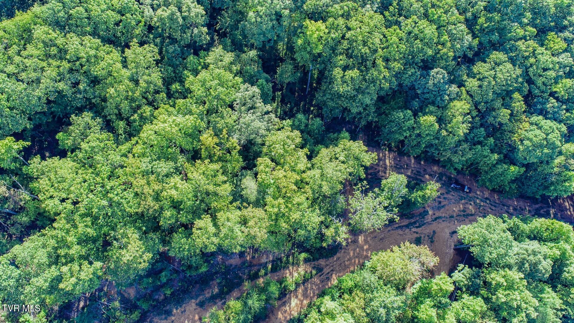 151 Delicious Way, Unit 37 Newport, TN 37821 - Photo 2 of 14 2