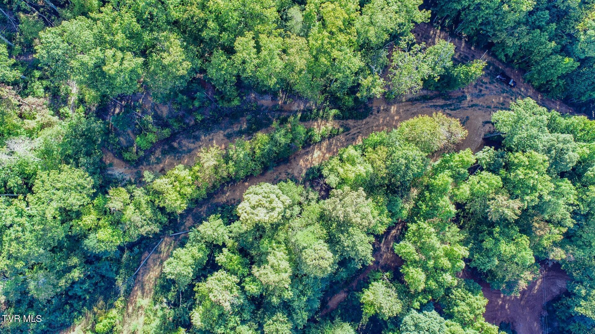 151 Delicious Way, Unit 37 Newport, TN 37821 - Photo 3 of 14 3