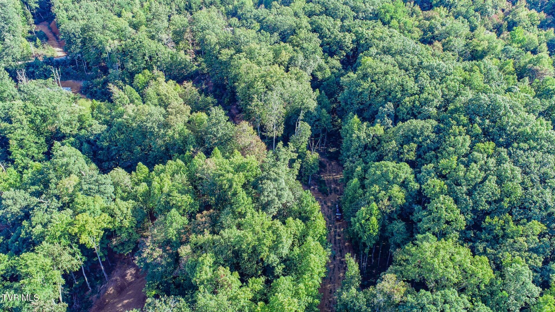 151 Delicious Way, Unit 37 Newport, TN 37821 - Photo 4 of 14 4.5