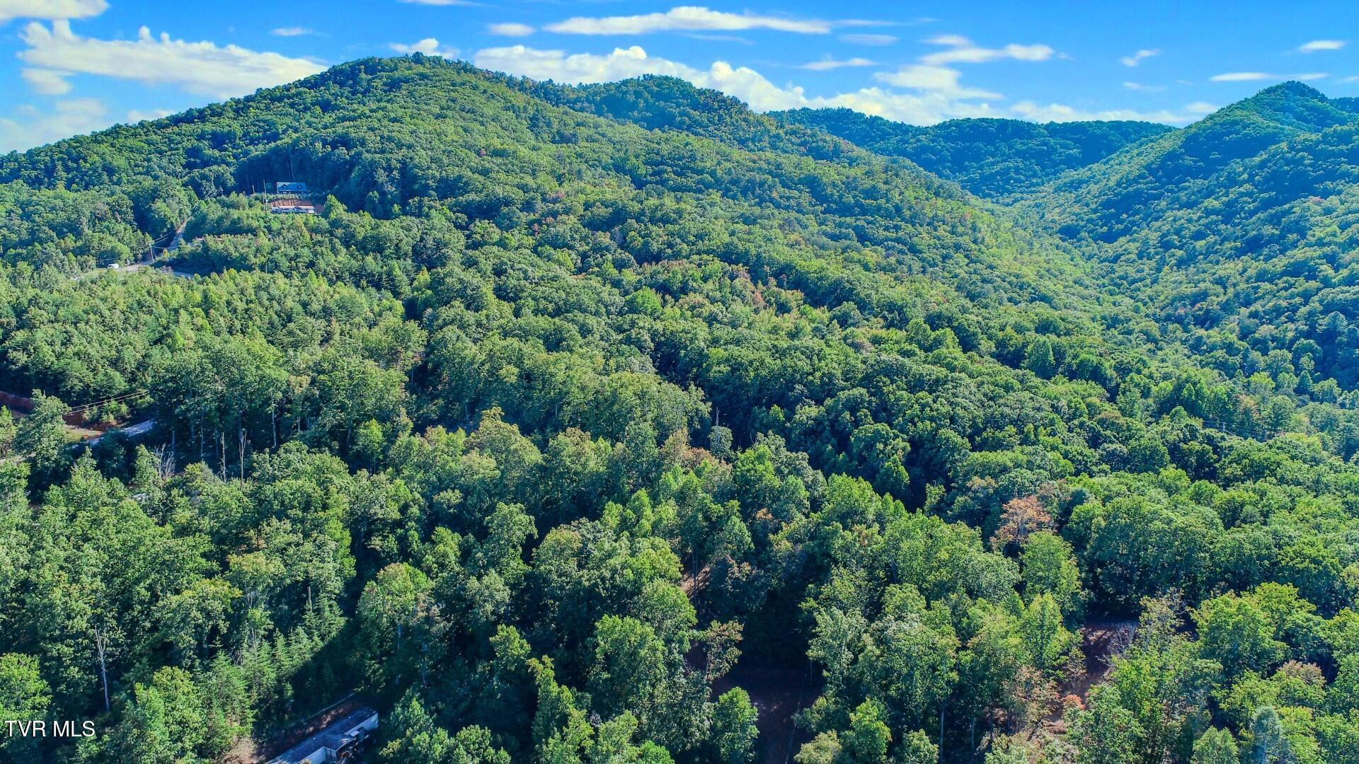 151 Delicious Way, Unit 37 Newport, TN 37821 - Photo 6 of 14 5