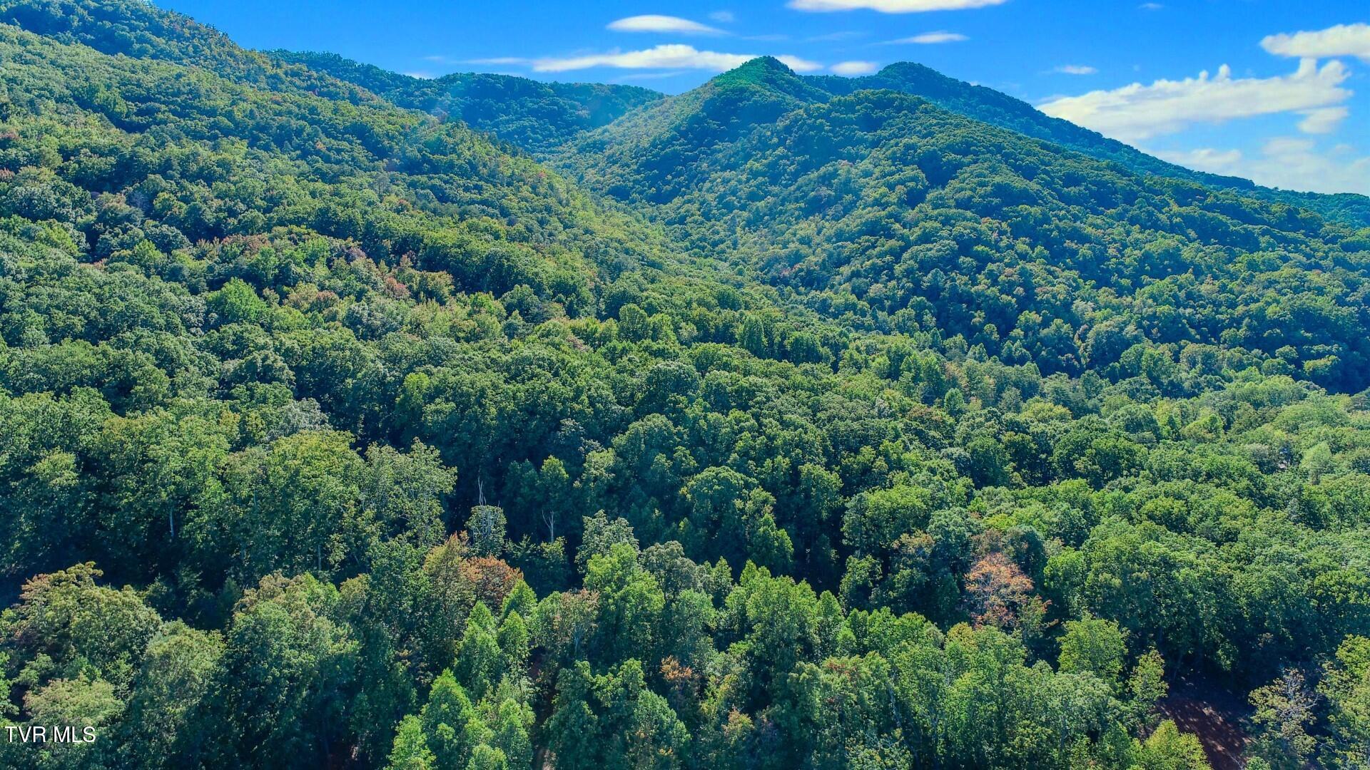 151 Delicious Way, Unit 37 Newport, TN 37821 - Photo 7 of 14 6