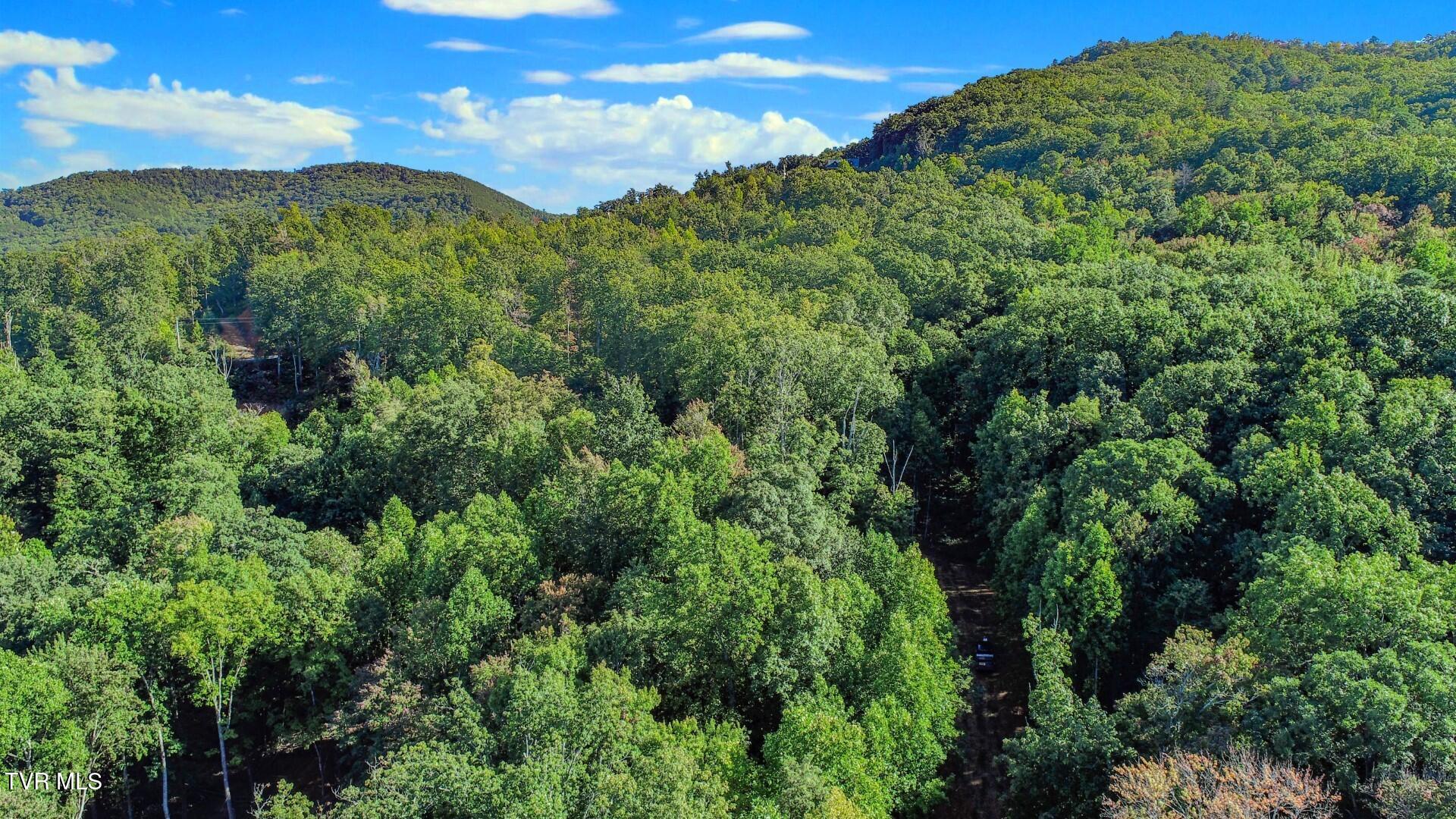 151 Delicious Way, Unit 37 Newport, TN 37821 - Photo 8 of 14 7