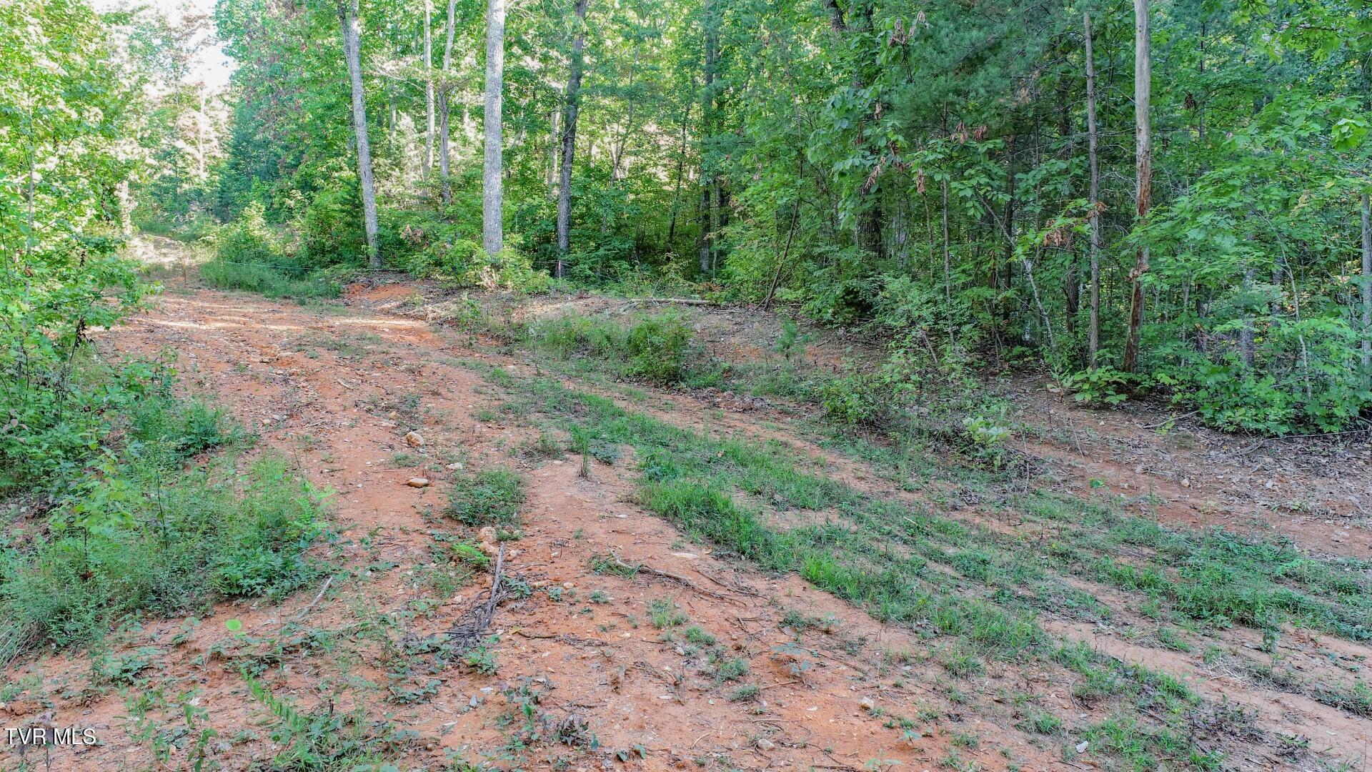 151 Delicious Way, Unit 37 Newport, TN 37821 - Photo 9 of 14 8