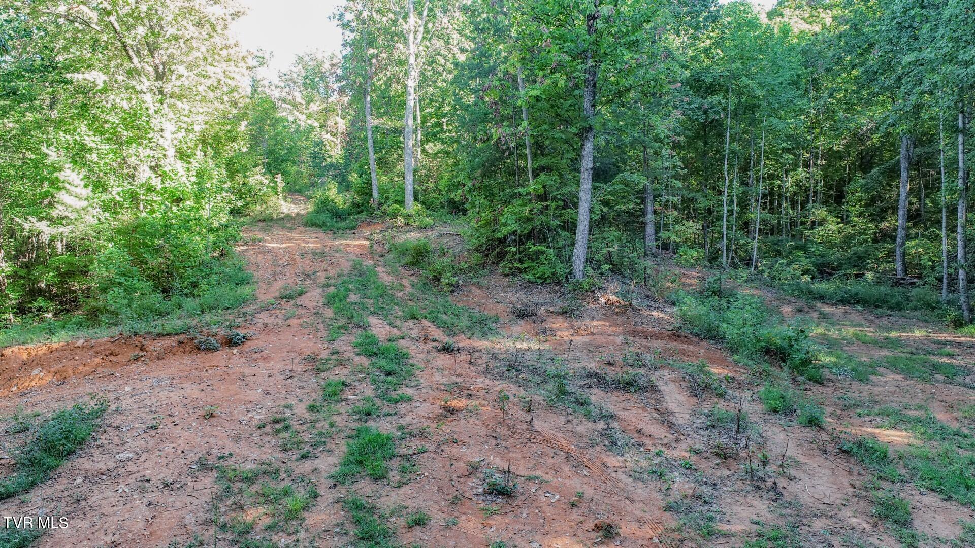 151 Delicious Way, Unit 37 Newport, TN 37821 - Photo 10 of 14 9