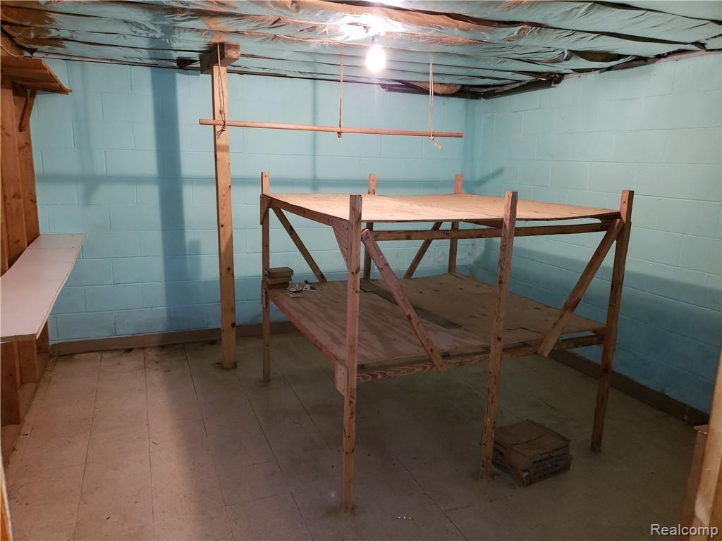 5095 Hasslick Road North Branch, MI 48461 - Photo 25 of 42 Basement Storage.jpg