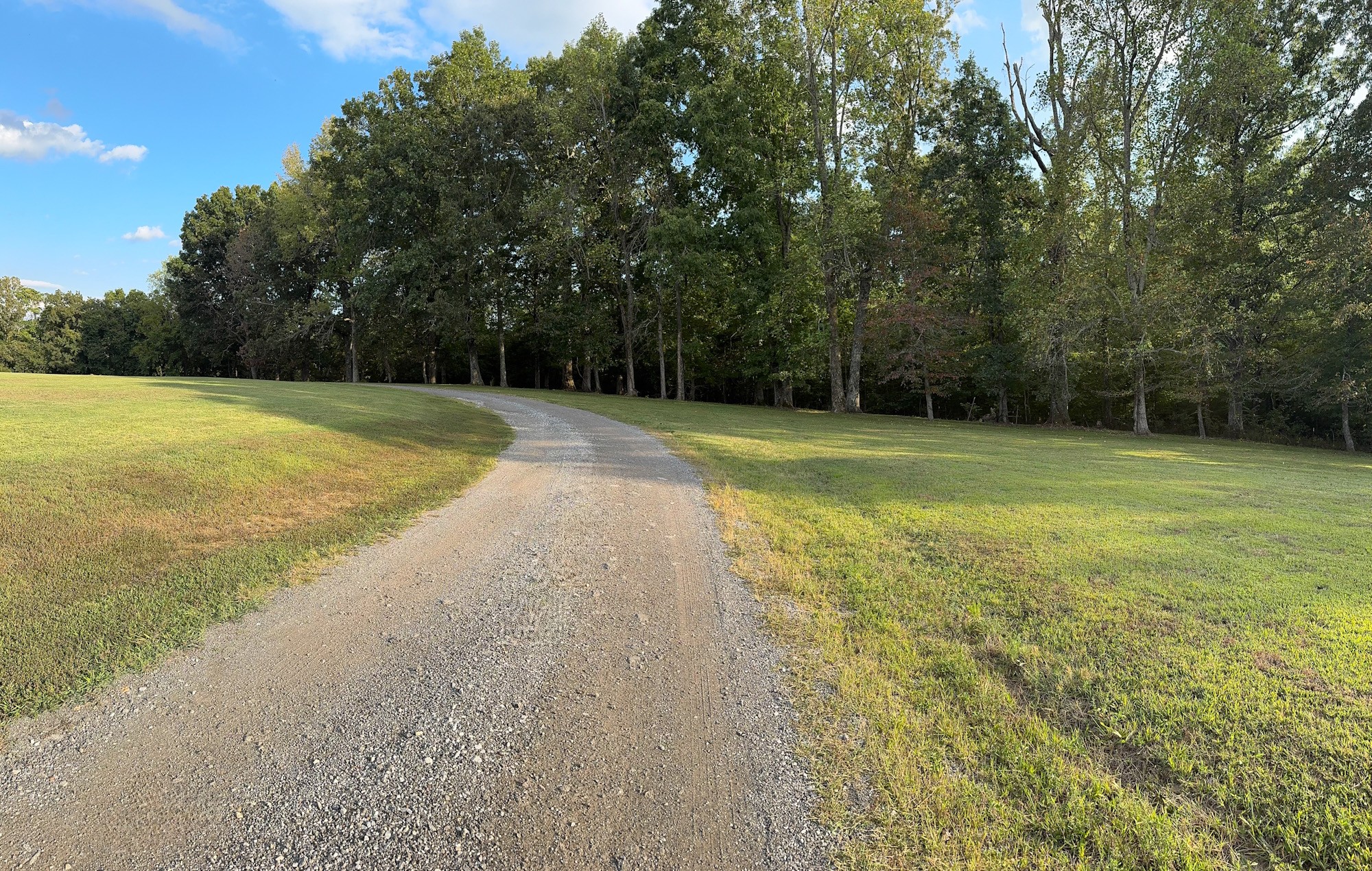 399 Edgar Meeks Road Burns, TN 37029 - Photo 10 of 28 a view of a yard with a trees