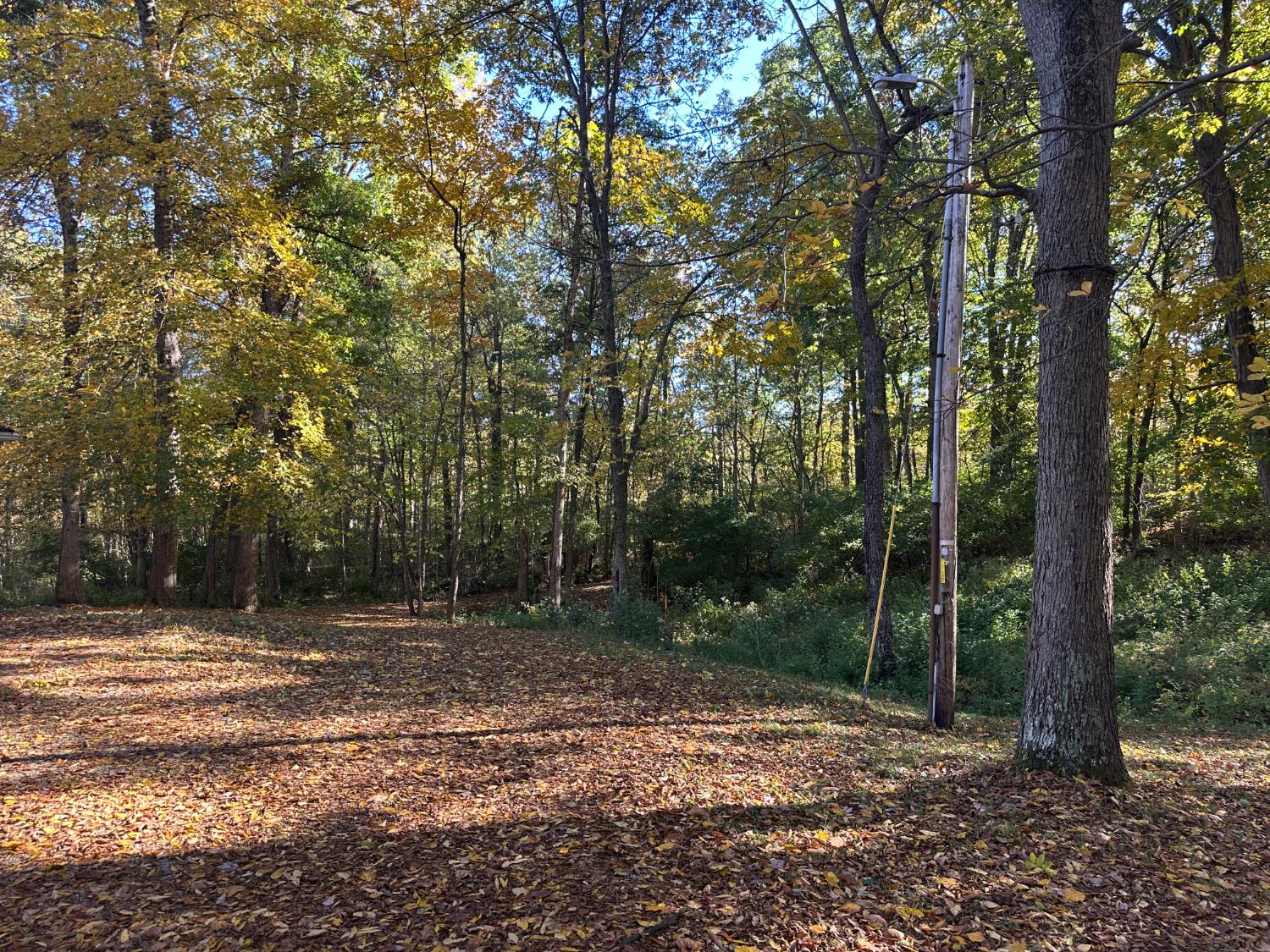8168 Fairfield Causeway Road Brookville, IN 47012 - Photo 32 of 42