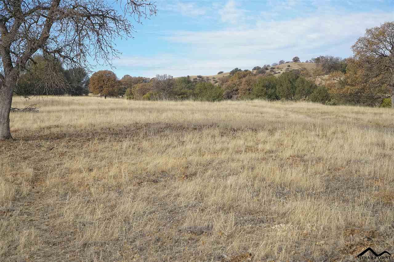 1 Riverview Ranch Road Red Bluff, CA 96080 - Photo 37 of 55 Gallery Image 37