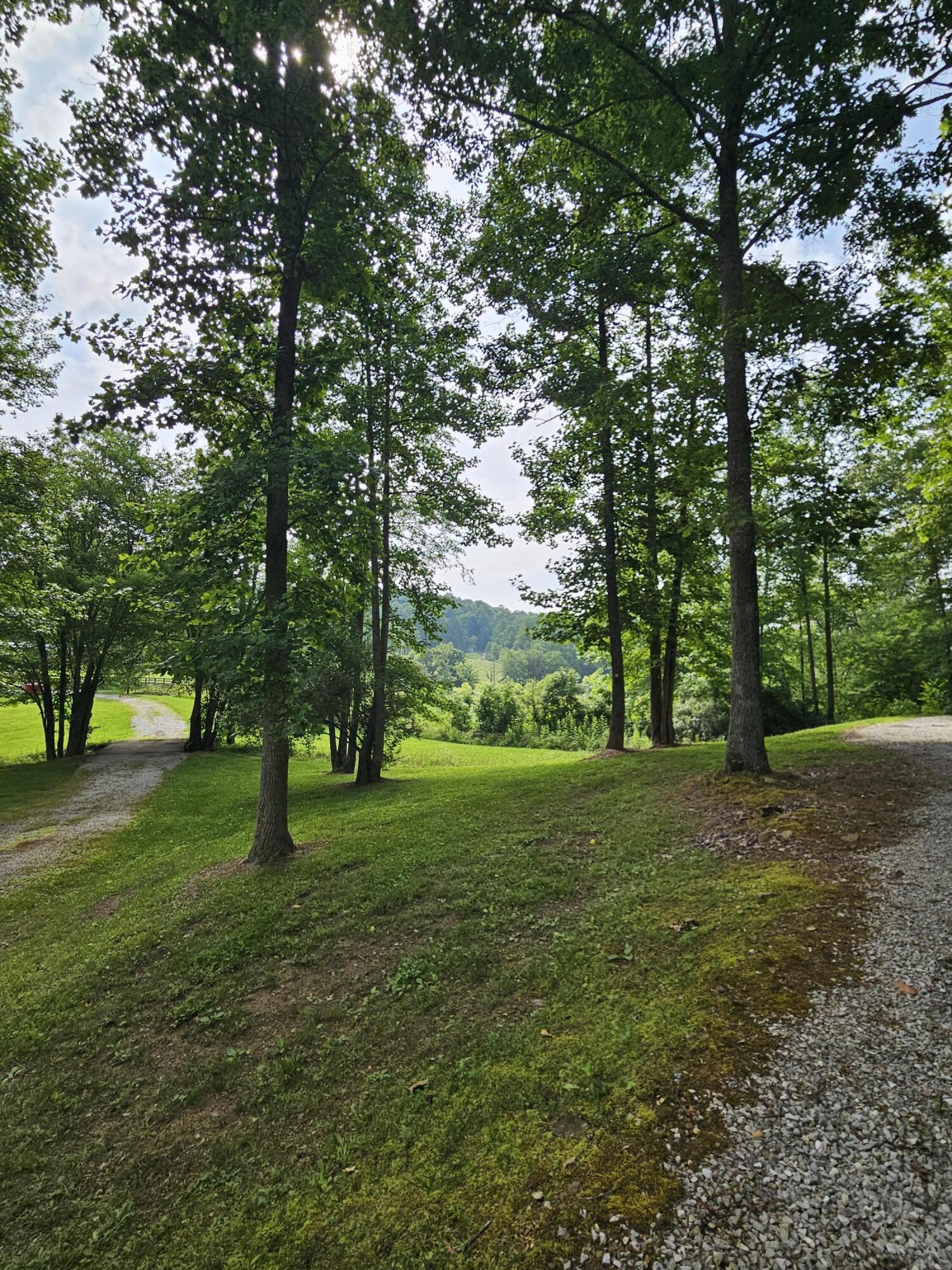 3821 Tidal Wave Road Corbin, KY 40701 - Photo 16 of 70 20250612_101514