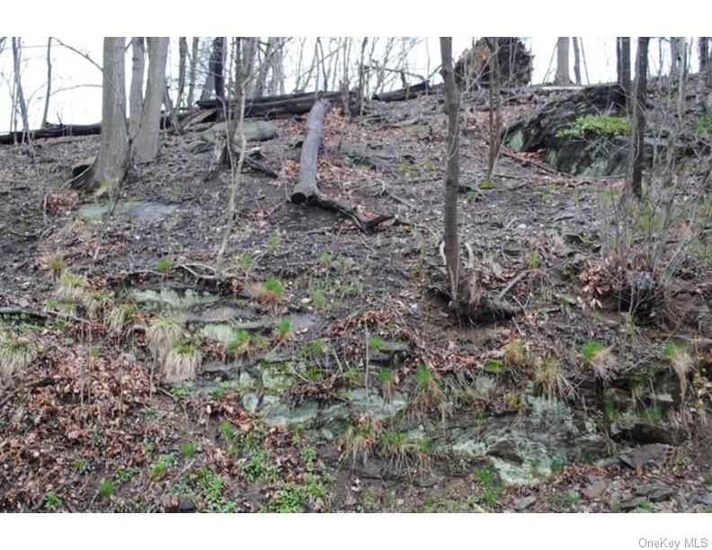 0 Ridge Road Ardsley, NY 10502 - Photo 2 of 2 a view of a yard