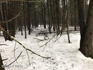 Davis Road Beach Lake, PA 18405 - Photo 20 of 22