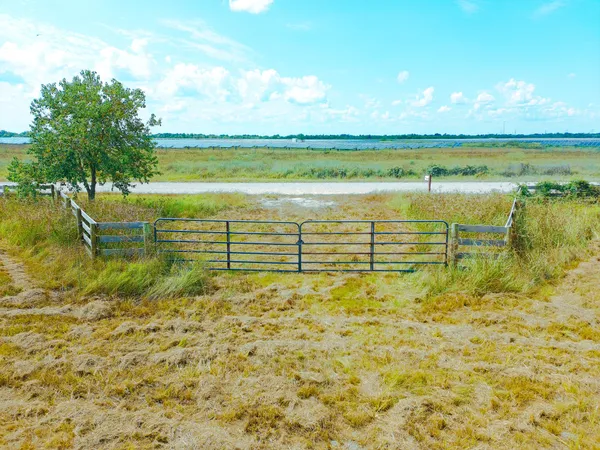 a view of an ocean beach