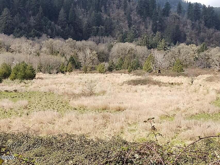 Three Three Rivers Highway Hebo, OR 97122 - Photo 10 of 11 hunt,flat