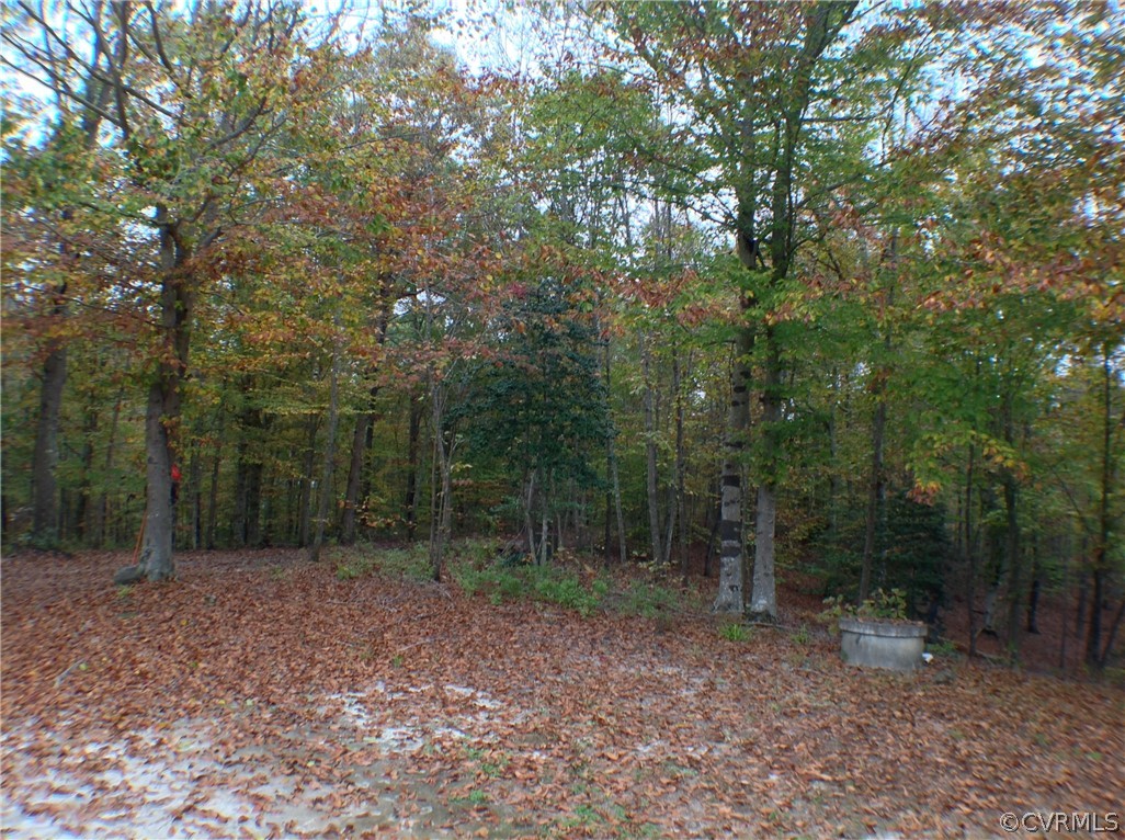 19355 Monroeville Road Ruther Glen, VA 22546 - Photo 46 of 49 Partial view of plat, own well and septic saves yo