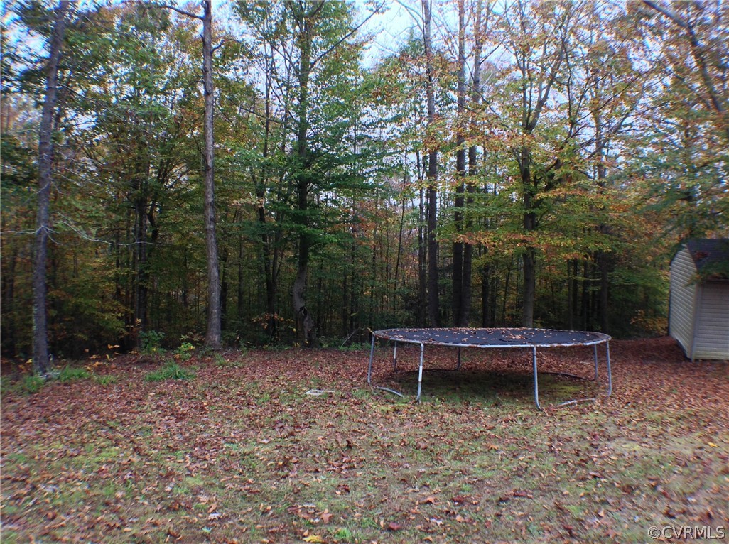 19355 Monroeville Road Ruther Glen, VA 22546 - Photo 47 of 49 Out back to left old shed to be removed..if requir