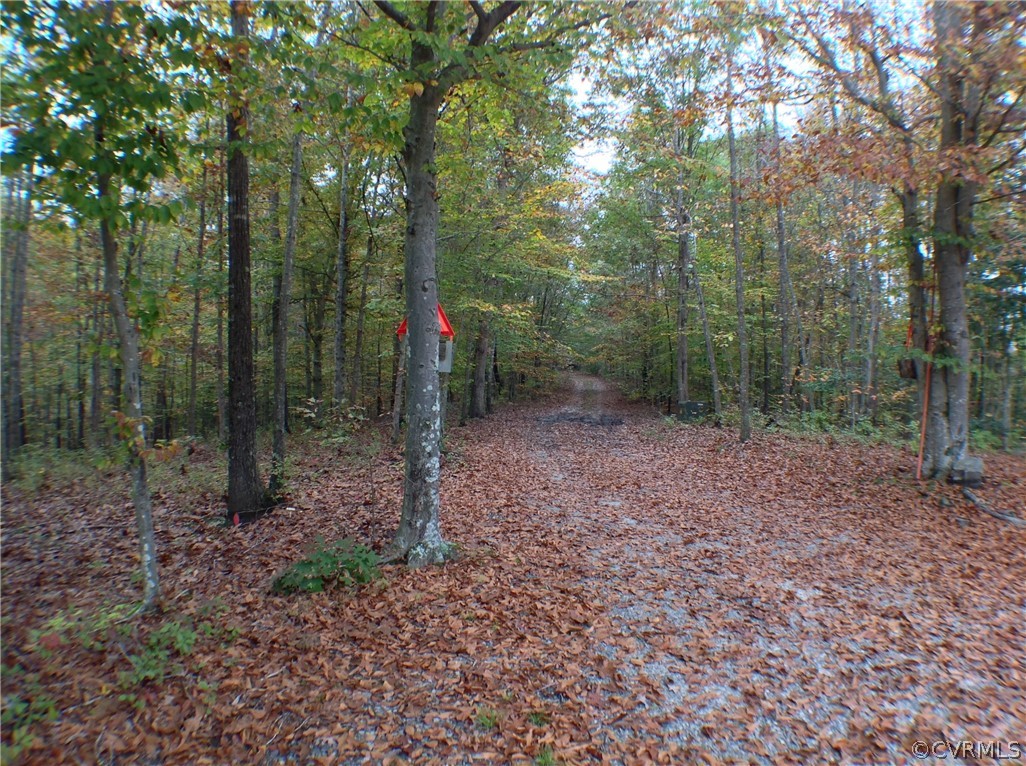19355 Monroeville Road Ruther Glen, VA 22546 - Photo 49 of 49 Private secluded long drive in to your private oas
