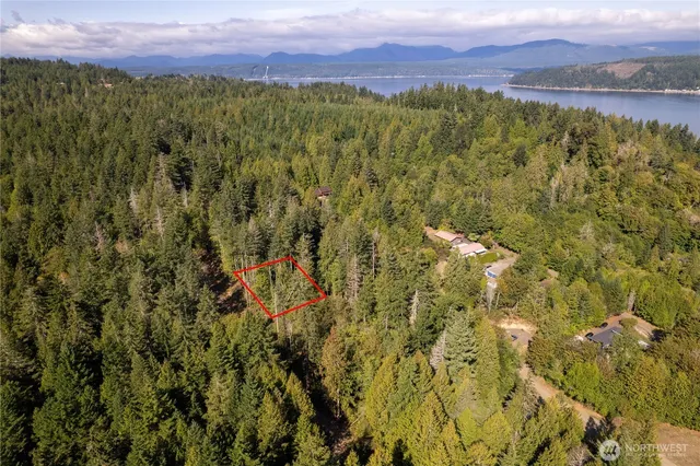 a view of a city with lush green forest