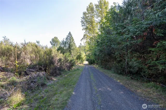 a view of a pathway both side of yard
